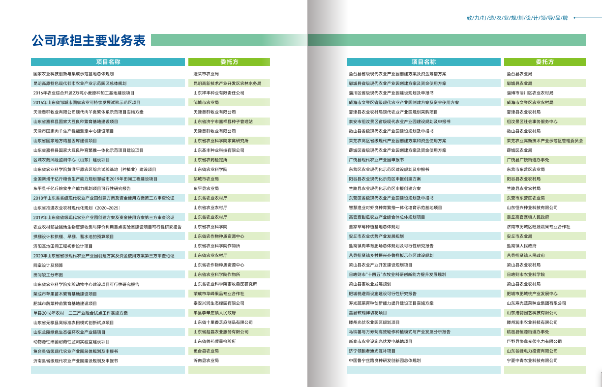 公司承擔主要規劃設計咨詢項目列表